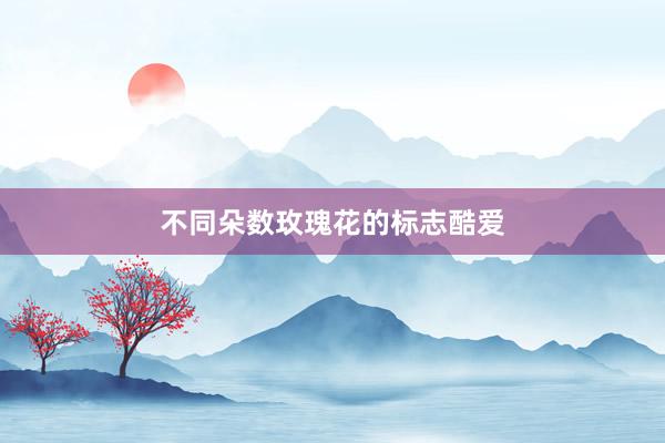 不同朵数玫瑰花的标志酷爱