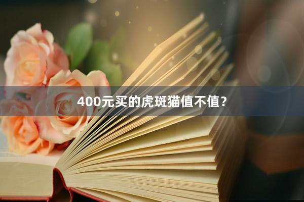400元买的虎斑猫值不值？